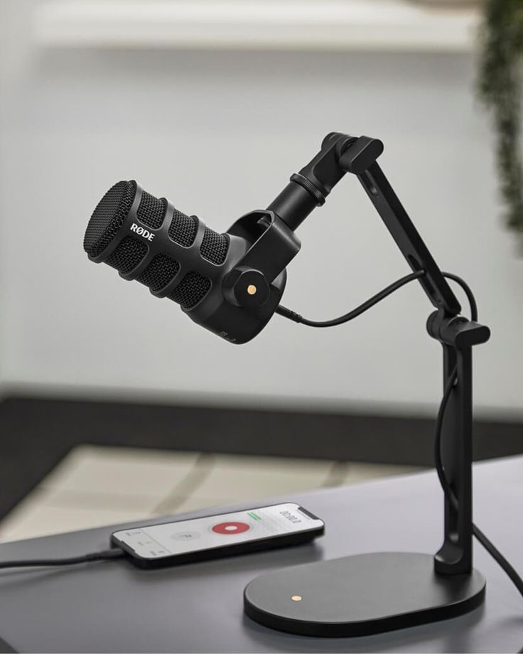 Professional Microphone Setup